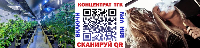 даркнет сайт  Сегежа  ТГК концентрат 